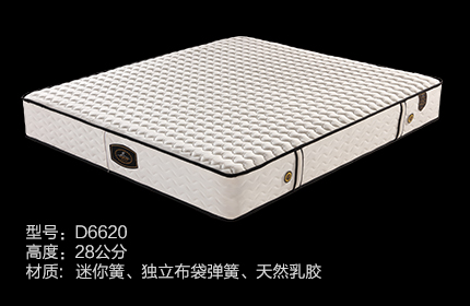 D6620