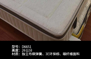 D6651碳纤维